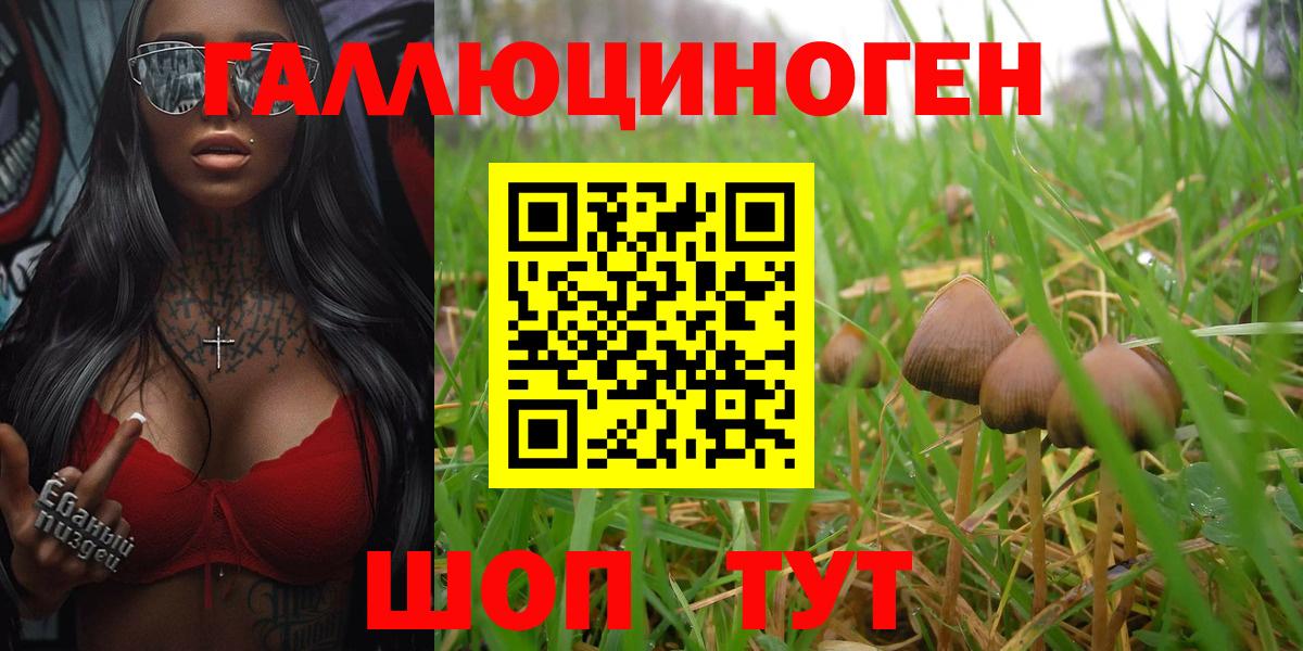 Заволжье  Галлюциногенные грибы ЛСД  Вход с VPN 