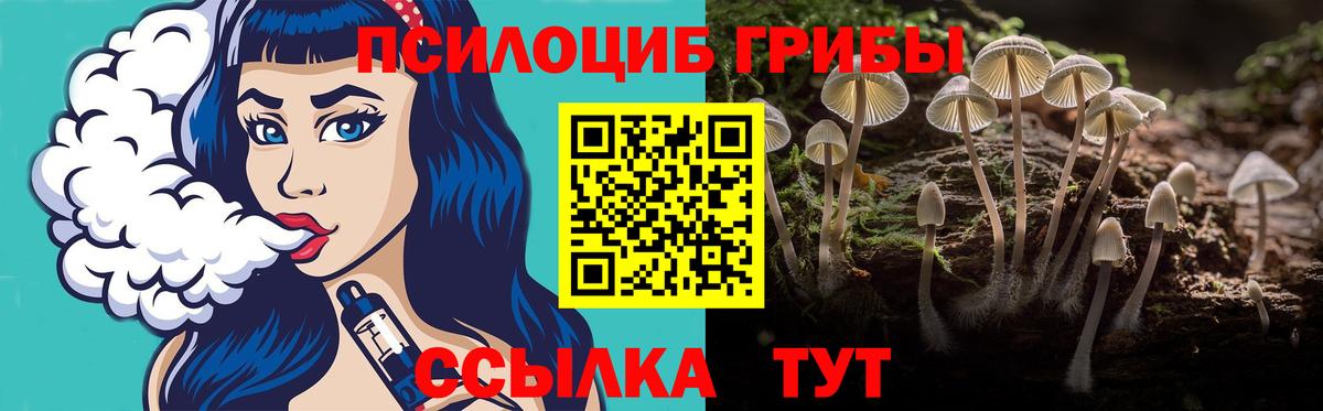 Галлюциногенные грибы Psilocybine cubensis Заволжье